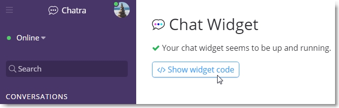 select show widget code