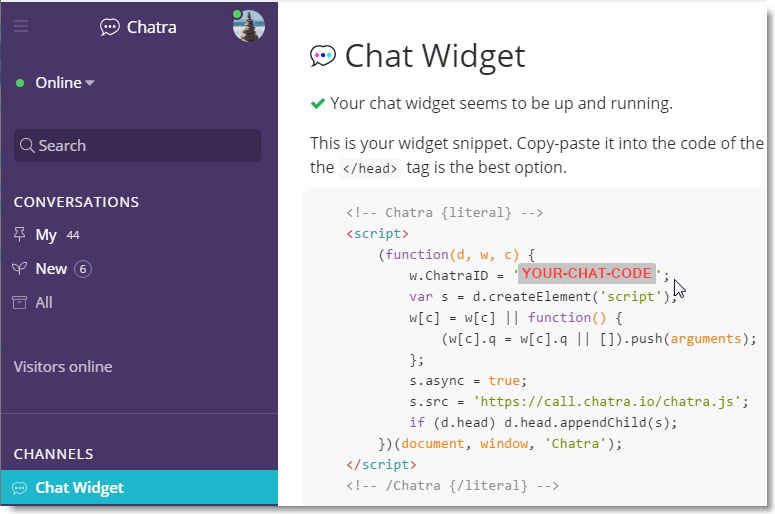 view the chat widget code